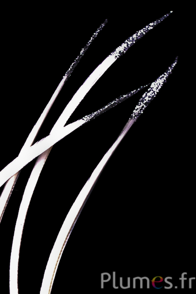Oie strippé paillettes argentées - 16-18 cm - blanc